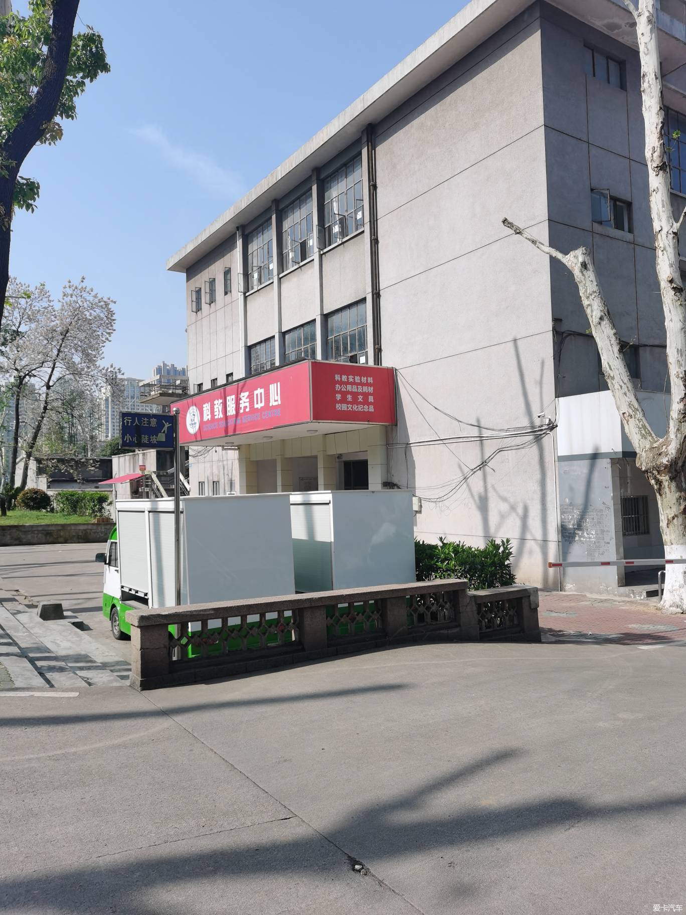 【春與夏之精】華中科技大學的梧桐樹都剪枝了