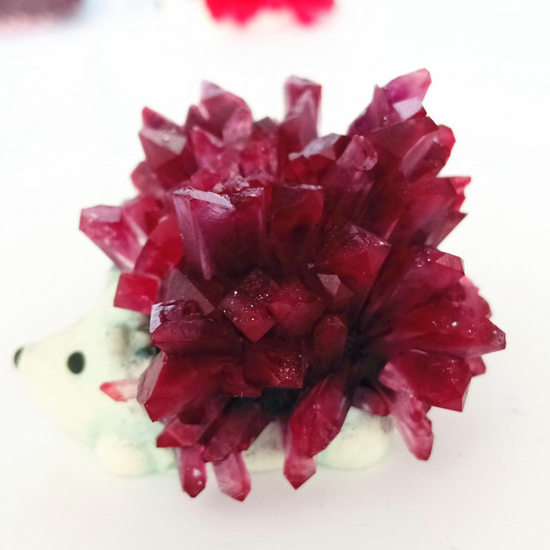 魔法刺猬晶石種植 科學(xué)與幻想交織的科教文具新寵